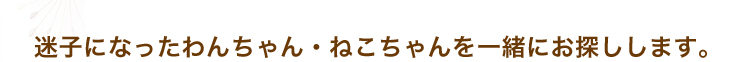 迷子になったわんちゃん・ねこちゃんを一緒にお探しします。